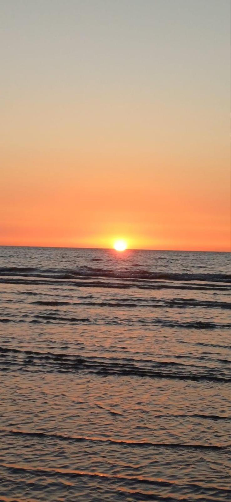 Koksijde Promenade公寓 外观 照片